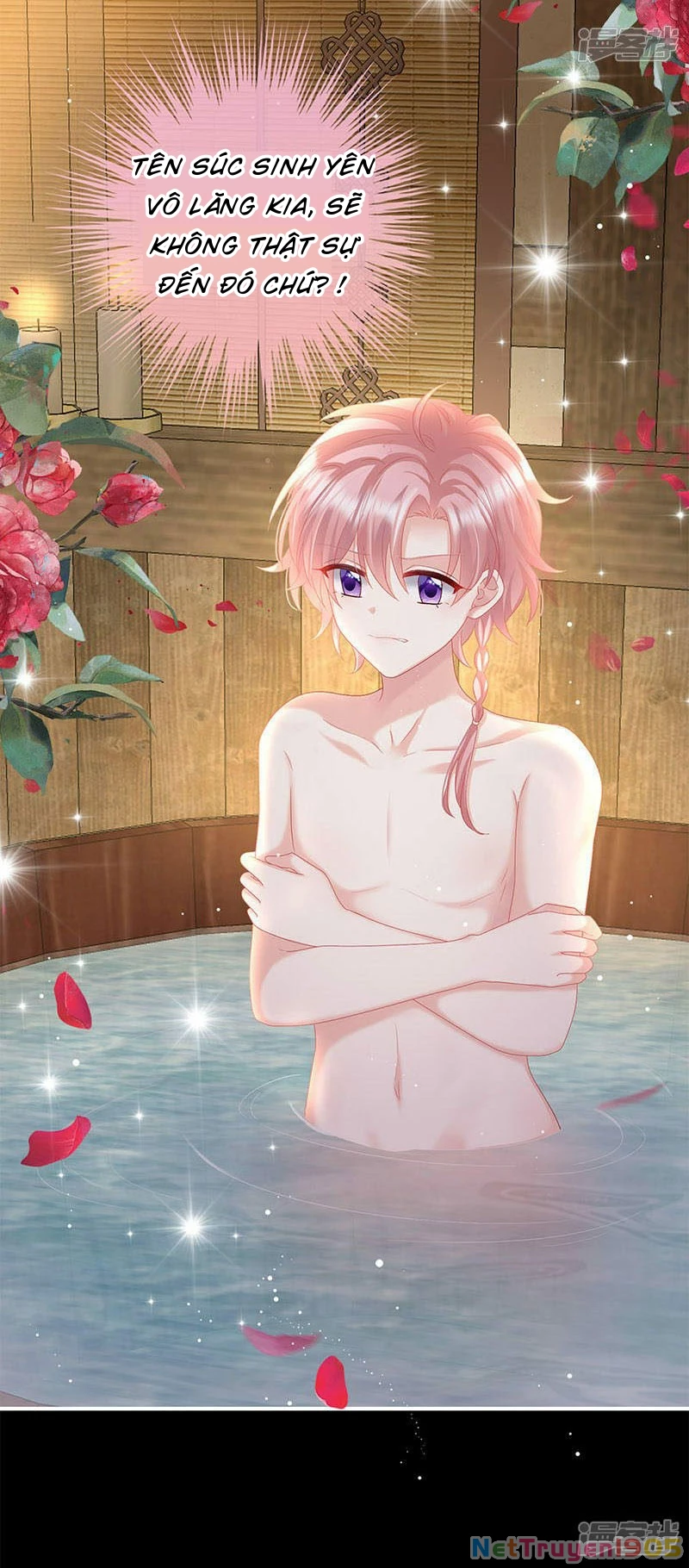 Kiều Phu Có Hỉ Chapter 104 - 15