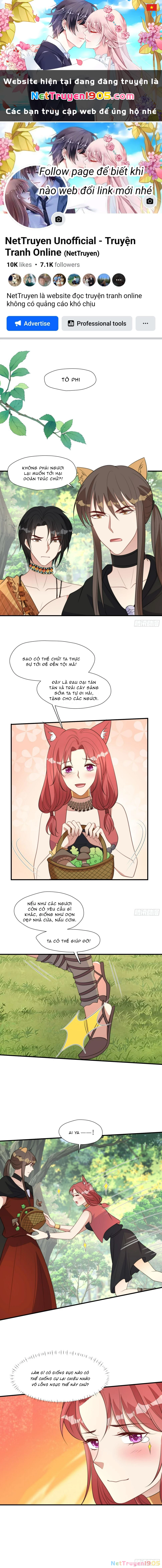 Hoảng Hốt Sau Khi Xuyên Thành Kiều Thê Của Thú Nhân Chapter 87 - 1