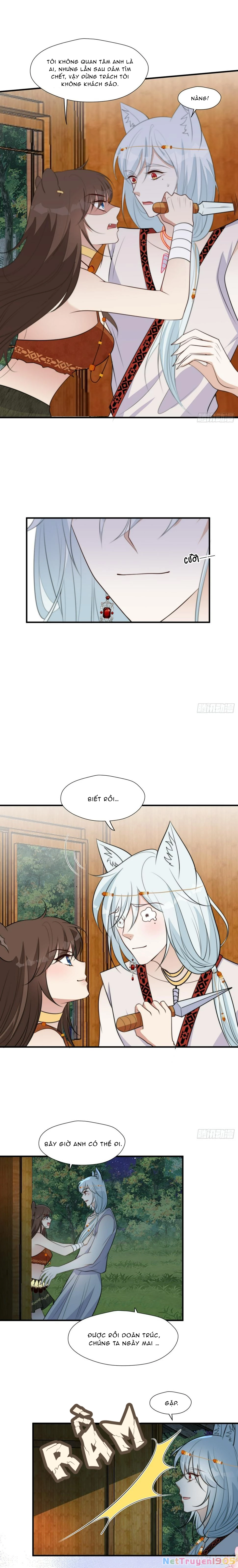 Hoảng Hốt Sau Khi Xuyên Thành Kiều Thê Của Thú Nhân Chapter 92 - 4