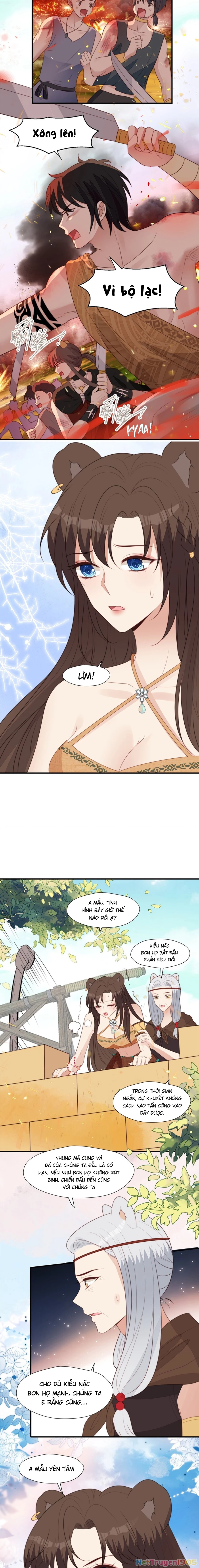 Hoảng Hốt Sau Khi Xuyên Thành Kiều Thê Của Thú Nhân Chapter 128 - 4