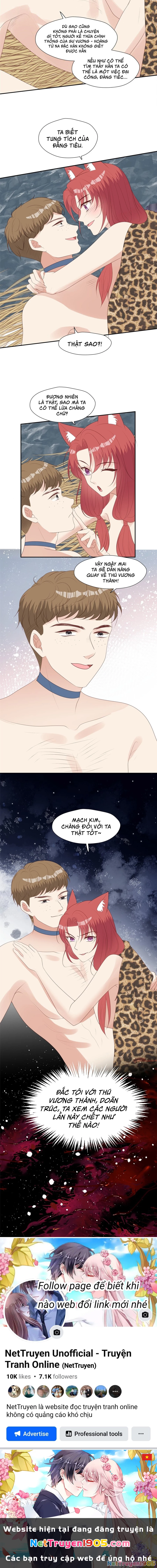 Hoảng Hốt Sau Khi Xuyên Thành Kiều Thê Của Thú Nhân Chapter 129 - 7