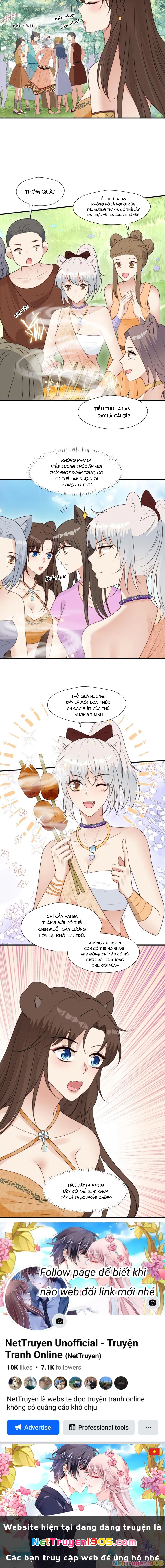 Hoảng Hốt Sau Khi Xuyên Thành Kiều Thê Của Thú Nhân Chapter 132 - 4