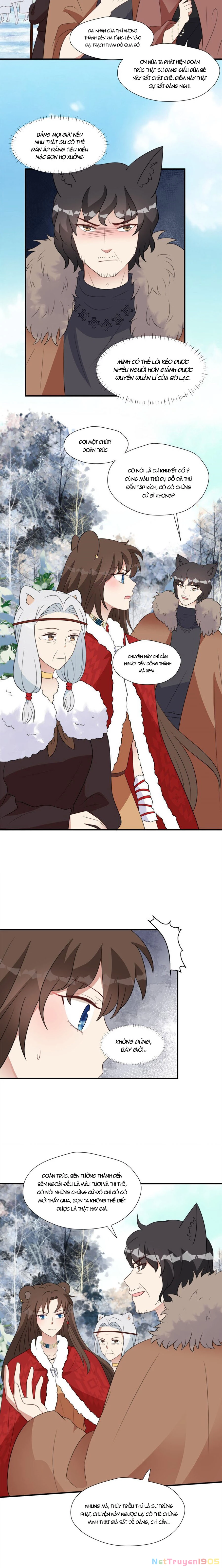 Hoảng Hốt Sau Khi Xuyên Thành Kiều Thê Của Thú Nhân Chapter 139 - 3