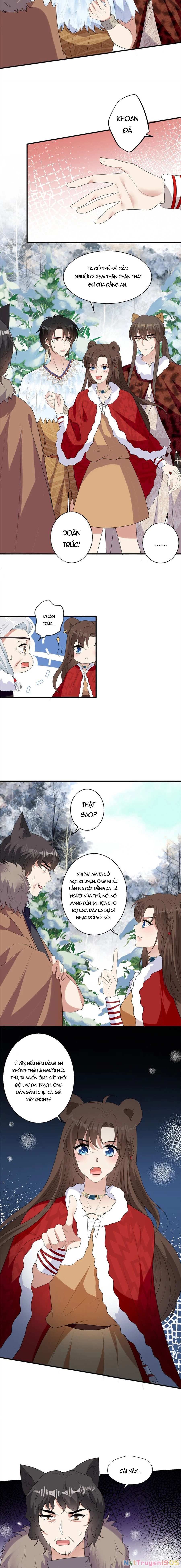 Hoảng Hốt Sau Khi Xuyên Thành Kiều Thê Của Thú Nhân Chapter 139 - 6