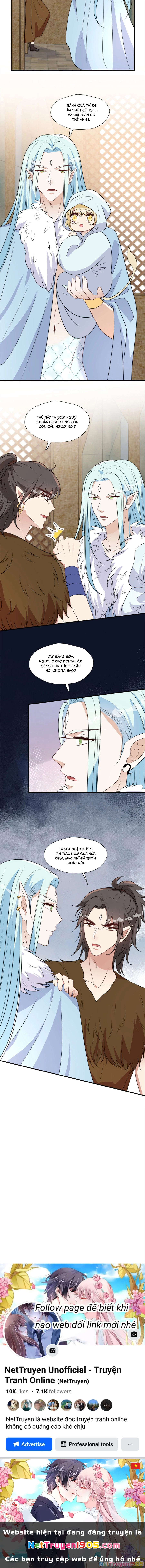 Hoảng Hốt Sau Khi Xuyên Thành Kiều Thê Của Thú Nhân Chapter 152 - 6