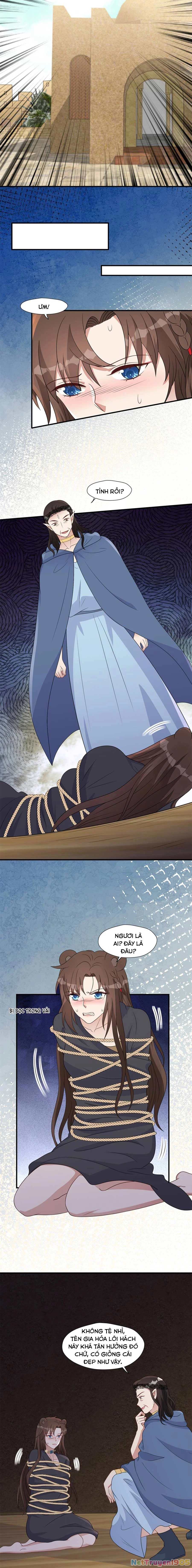 Hoảng Hốt Sau Khi Xuyên Thành Kiều Thê Của Thú Nhân Chapter 155 - 3