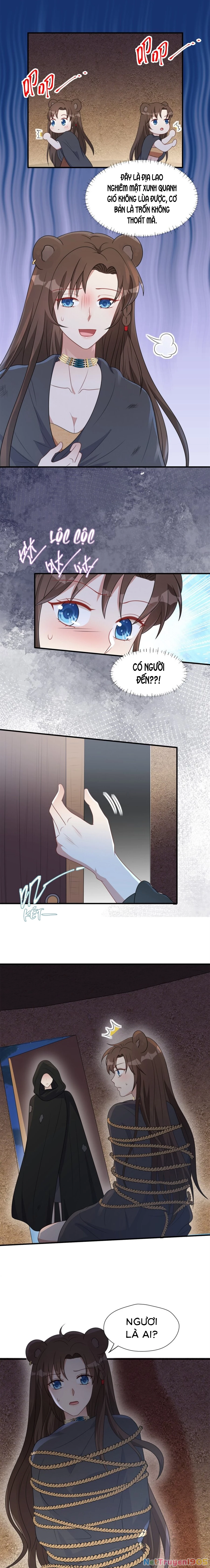 Hoảng Hốt Sau Khi Xuyên Thành Kiều Thê Của Thú Nhân Chapter 156 - 6