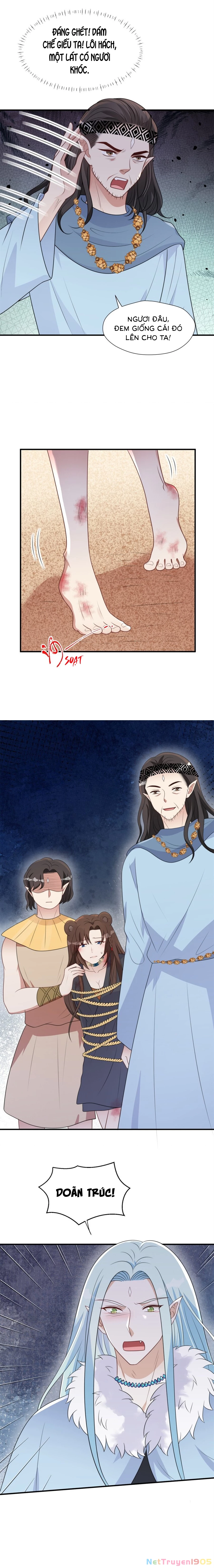 Hoảng Hốt Sau Khi Xuyên Thành Kiều Thê Của Thú Nhân Chapter 157 - 5