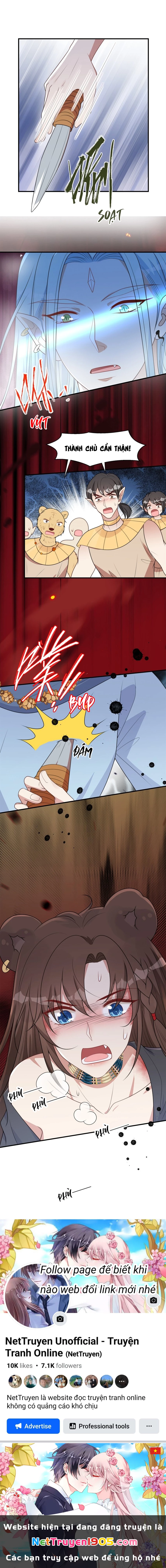 Hoảng Hốt Sau Khi Xuyên Thành Kiều Thê Của Thú Nhân Chapter 157 - 8