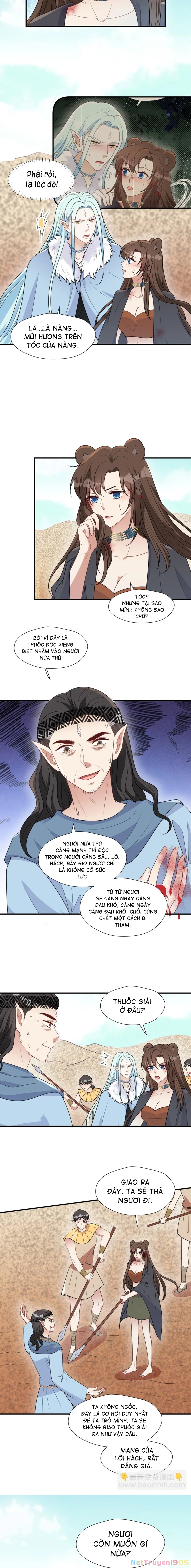 Hoảng Hốt Sau Khi Xuyên Thành Kiều Thê Của Thú Nhân Chapter 158 - 6