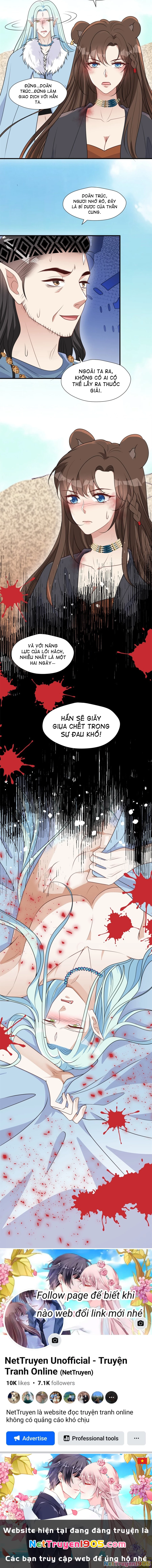 Hoảng Hốt Sau Khi Xuyên Thành Kiều Thê Của Thú Nhân Chapter 158 - 7