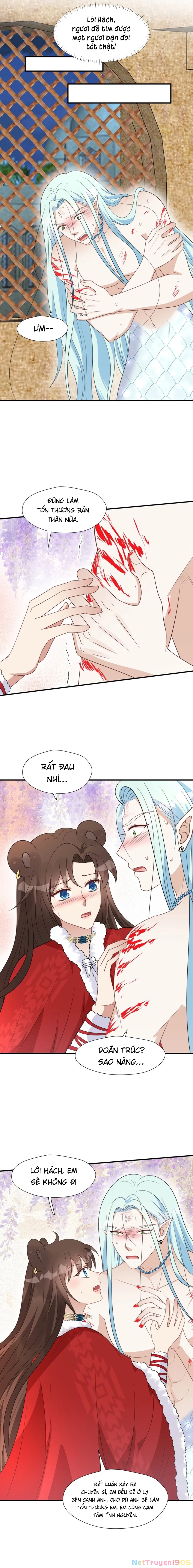 Hoảng Hốt Sau Khi Xuyên Thành Kiều Thê Của Thú Nhân Chapter 160 - 4