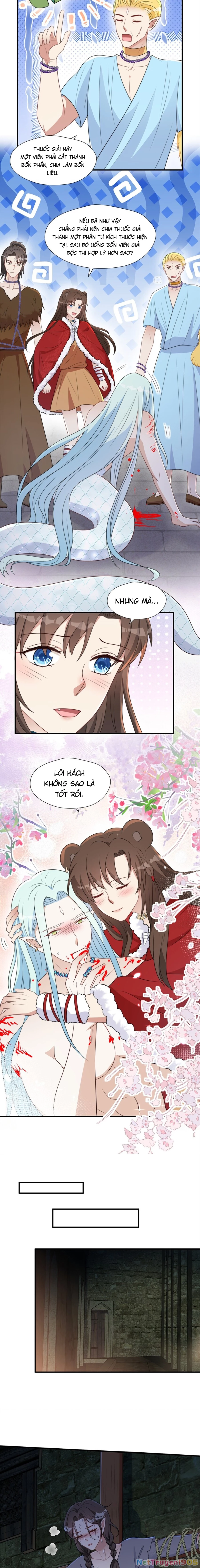 Hoảng Hốt Sau Khi Xuyên Thành Kiều Thê Của Thú Nhân Chapter 161 - 3