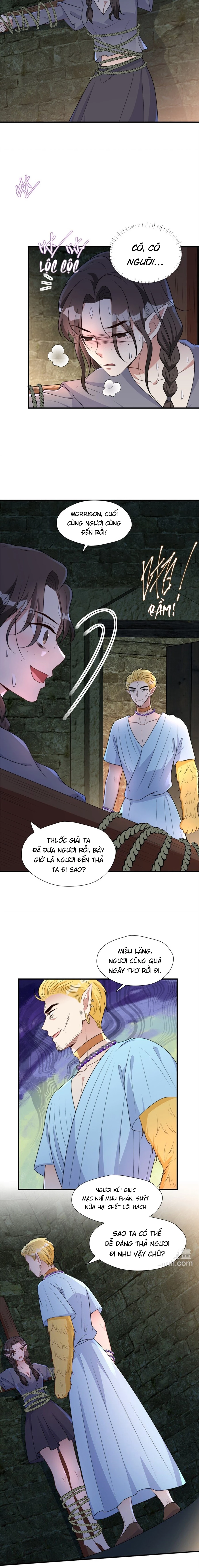 Hoảng Hốt Sau Khi Xuyên Thành Kiều Thê Của Thú Nhân Chapter 161 - 4