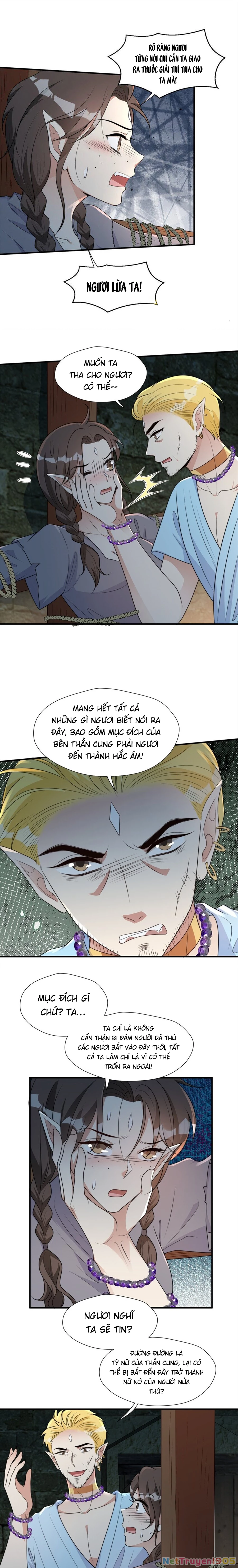 Hoảng Hốt Sau Khi Xuyên Thành Kiều Thê Của Thú Nhân Chapter 161 - 5