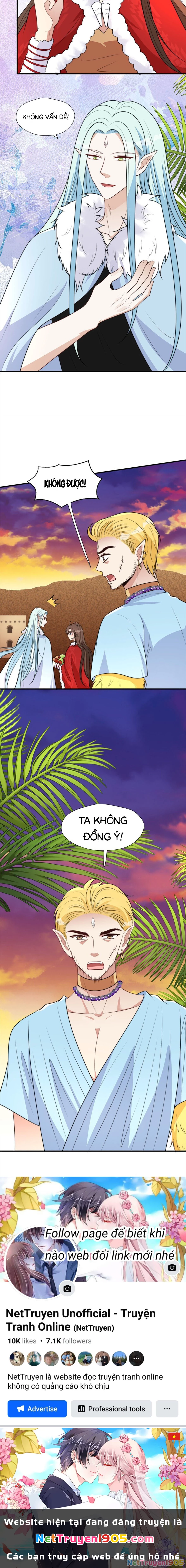 Hoảng Hốt Sau Khi Xuyên Thành Kiều Thê Của Thú Nhân Chapter 164 - 7