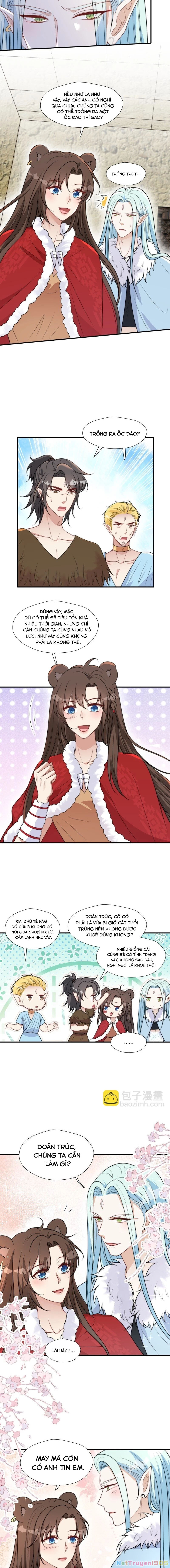 Hoảng Hốt Sau Khi Xuyên Thành Kiều Thê Của Thú Nhân Chapter 166 - 4