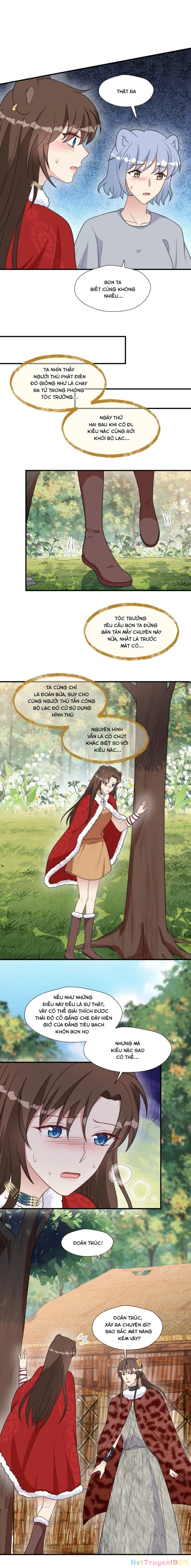 Hoảng Hốt Sau Khi Xuyên Thành Kiều Thê Của Thú Nhân Chapter 173 - 4