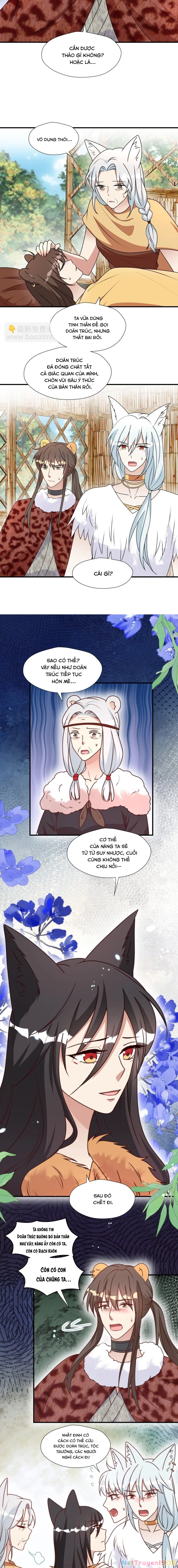 Hoảng Hốt Sau Khi Xuyên Thành Kiều Thê Của Thú Nhân Chapter 174 - 2