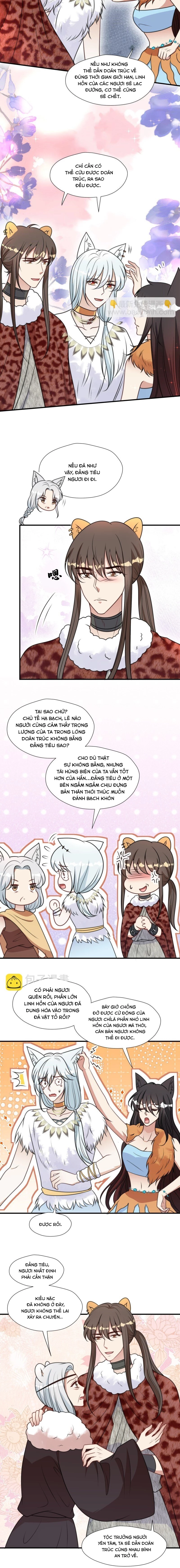 Hoảng Hốt Sau Khi Xuyên Thành Kiều Thê Của Thú Nhân Chapter 174 - 4