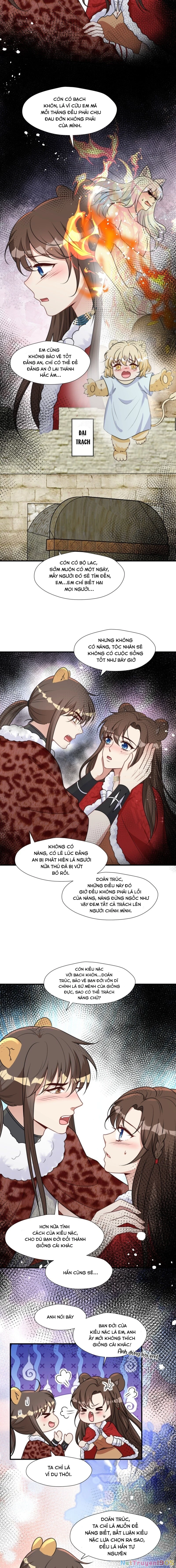 Hoảng Hốt Sau Khi Xuyên Thành Kiều Thê Của Thú Nhân Chapter 175 - 4