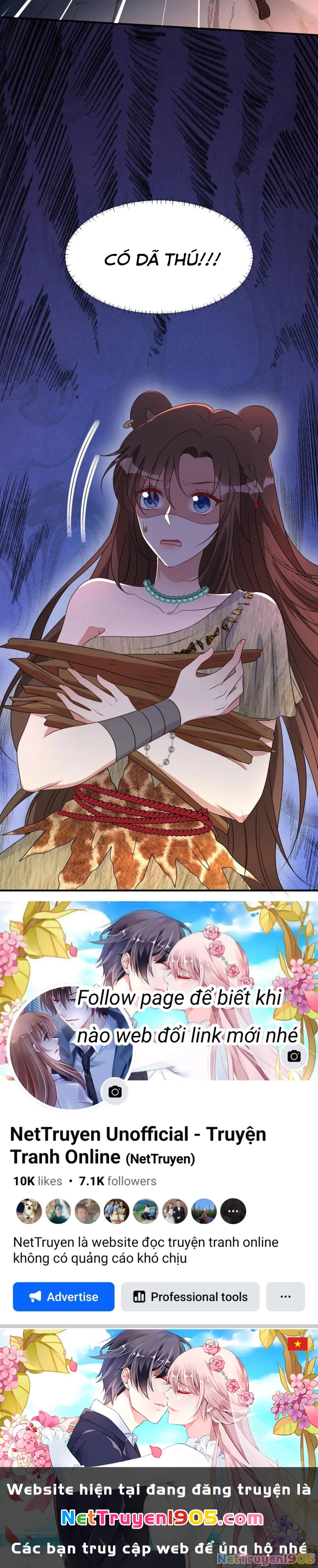 Hoảng Hốt Sau Khi Xuyên Thành Kiều Thê Của Thú Nhân Chapter 182 - 19