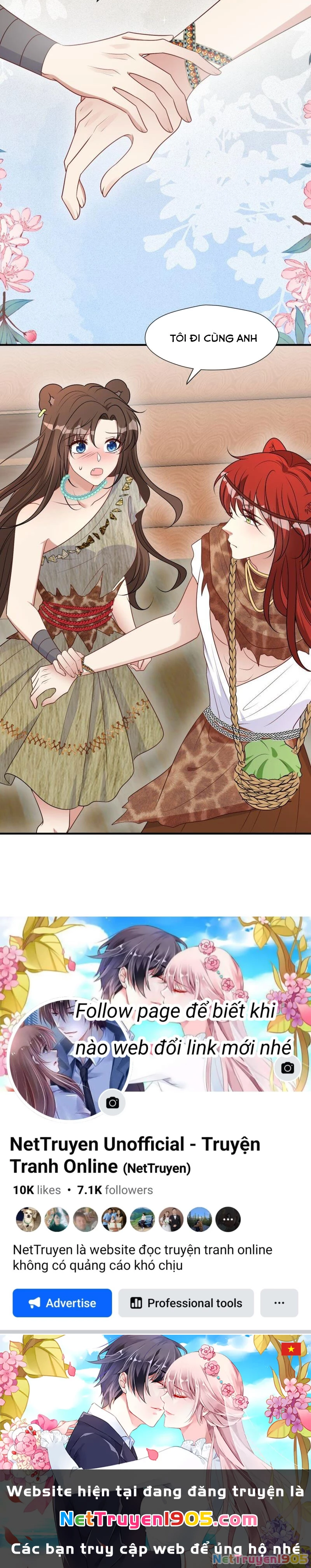 Hoảng Hốt Sau Khi Xuyên Thành Kiều Thê Của Thú Nhân Chapter 186 - 17