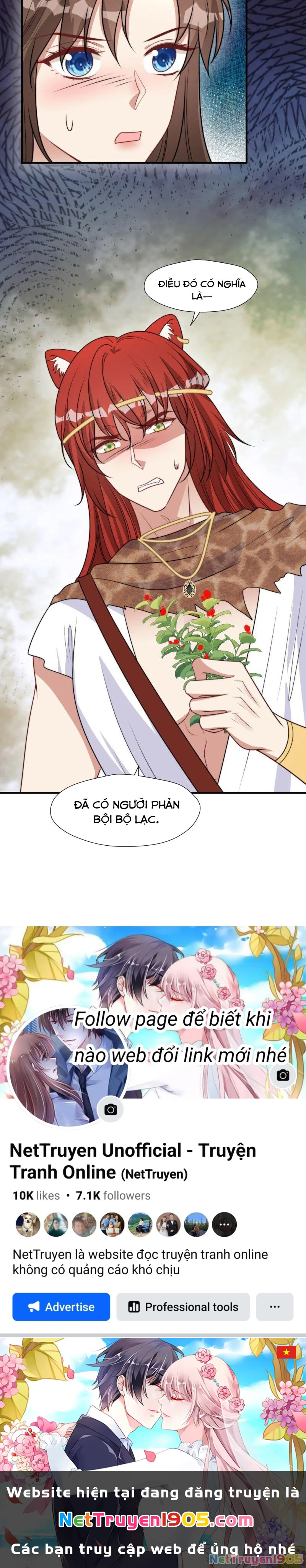 Hoảng Hốt Sau Khi Xuyên Thành Kiều Thê Của Thú Nhân Chapter 189 - 19