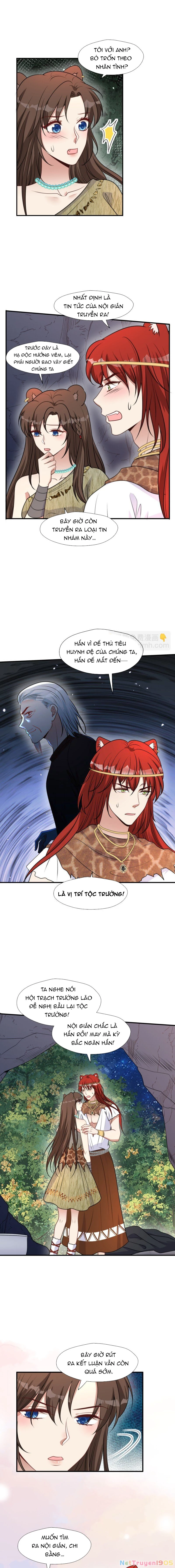 Hoảng Hốt Sau Khi Xuyên Thành Kiều Thê Của Thú Nhân Chapter 193 - 6