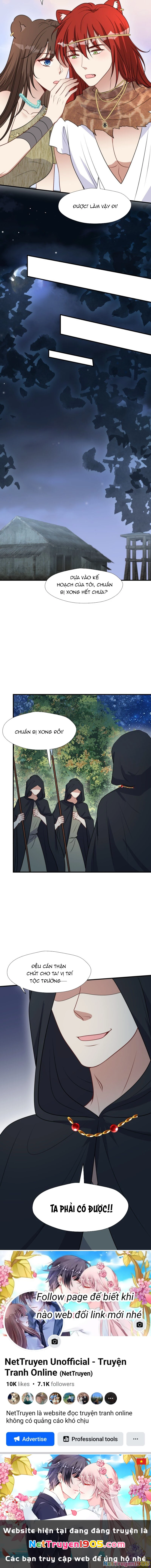 Hoảng Hốt Sau Khi Xuyên Thành Kiều Thê Của Thú Nhân Chapter 193 - 7