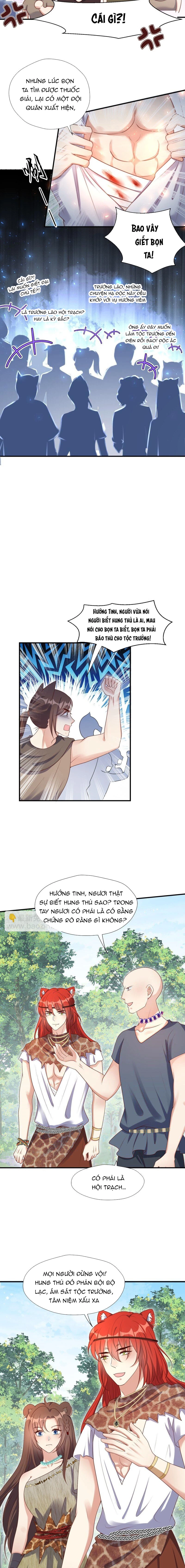 Hoảng Hốt Sau Khi Xuyên Thành Kiều Thê Của Thú Nhân Chapter 195 - 2
