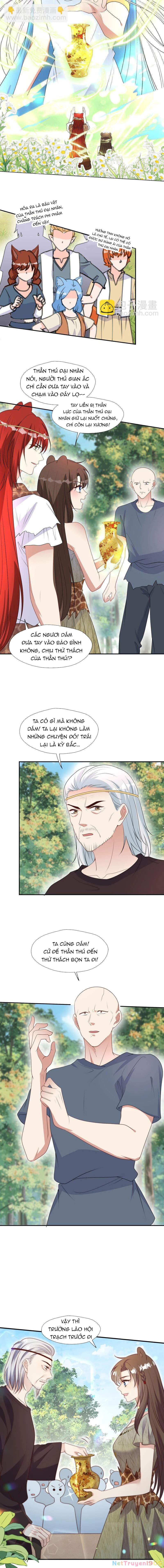 Hoảng Hốt Sau Khi Xuyên Thành Kiều Thê Của Thú Nhân Chapter 195 - 4