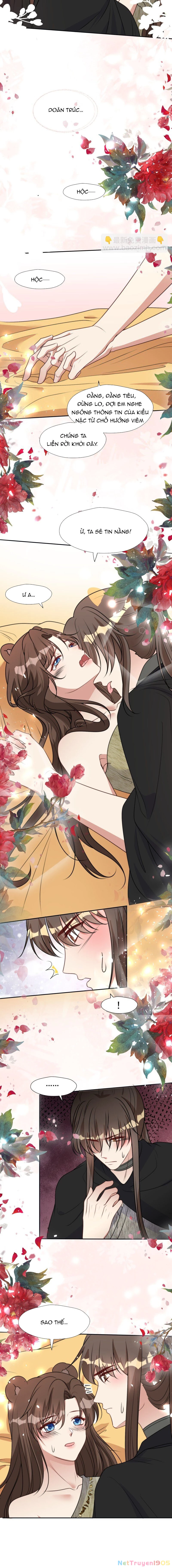 Hoảng Hốt Sau Khi Xuyên Thành Kiều Thê Của Thú Nhân Chapter 197 - 5