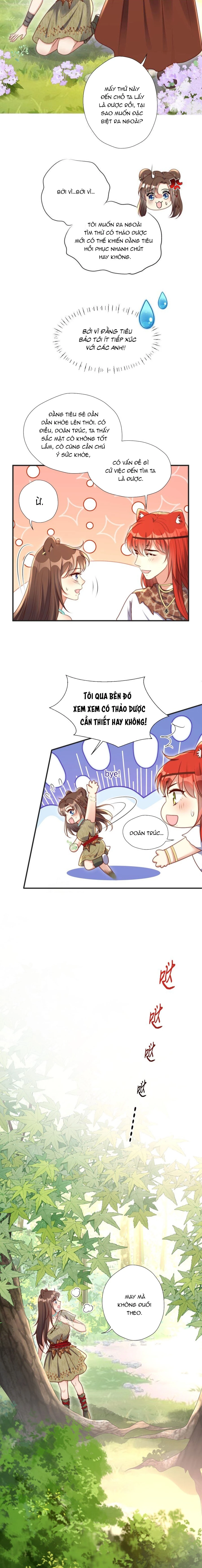 Hoảng Hốt Sau Khi Xuyên Thành Kiều Thê Của Thú Nhân Chapter 199 - 6