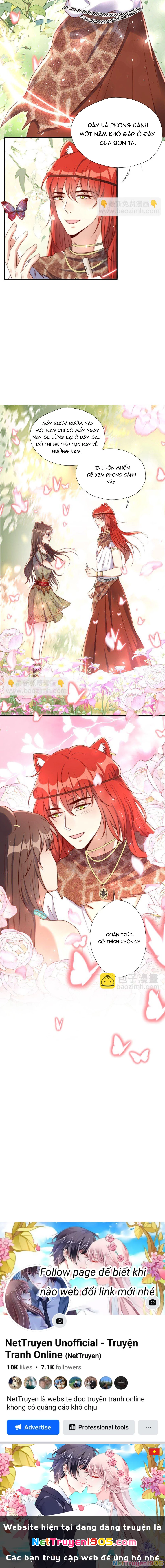 Hoảng Hốt Sau Khi Xuyên Thành Kiều Thê Của Thú Nhân Chapter 199 - 8