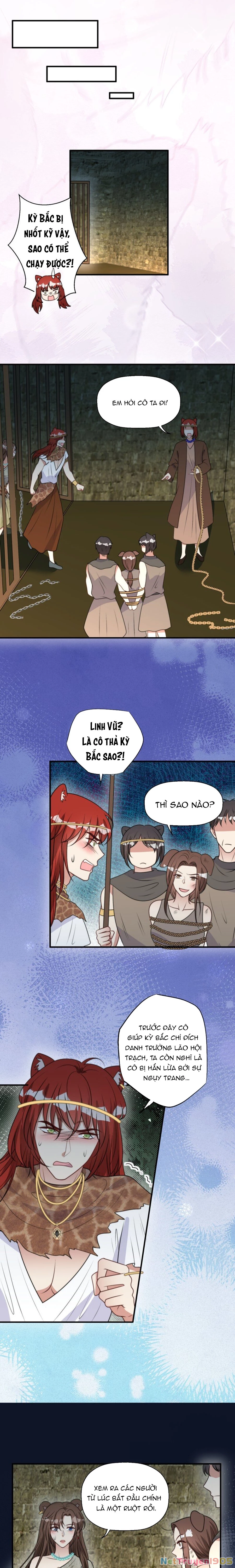 Hoảng Hốt Sau Khi Xuyên Thành Kiều Thê Của Thú Nhân Chapter 200 - 4