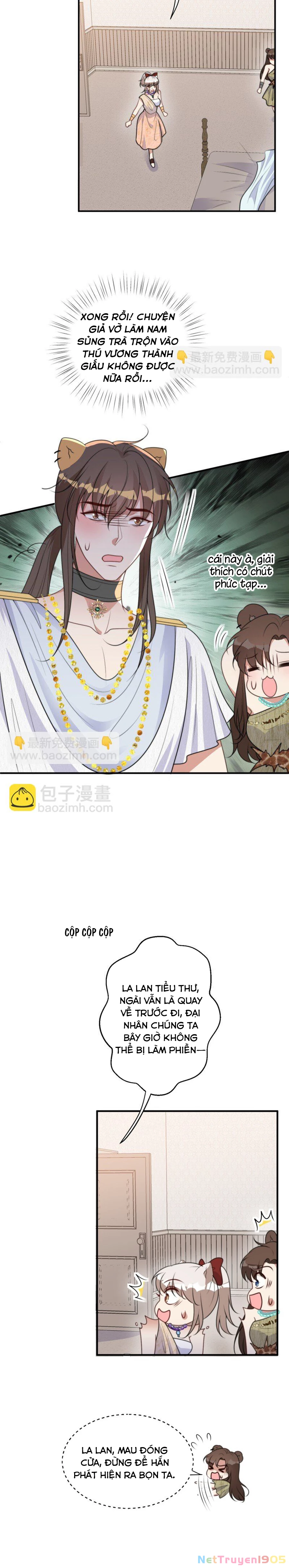 Hoảng Hốt Sau Khi Xuyên Thành Kiều Thê Của Thú Nhân Chapter 209 - 2