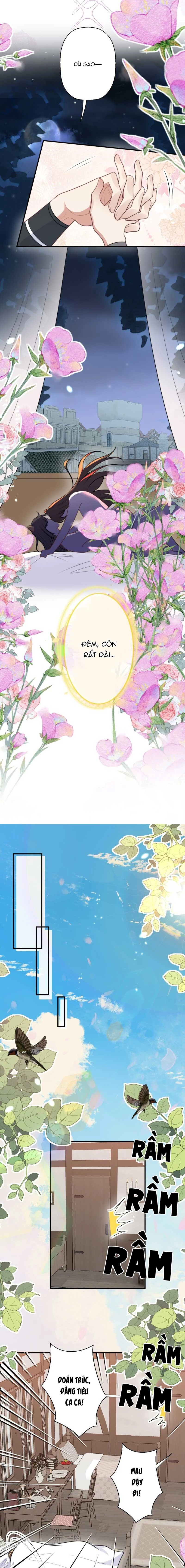 Hoảng Hốt Sau Khi Xuyên Thành Kiều Thê Của Thú Nhân Chapter 210 - 6
