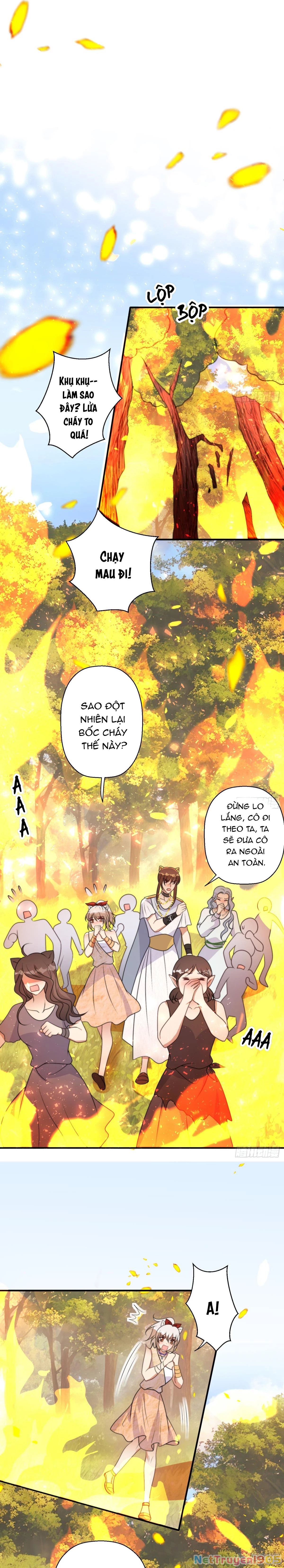 Hoảng Hốt Sau Khi Xuyên Thành Kiều Thê Của Thú Nhân Chapter 216 - 5