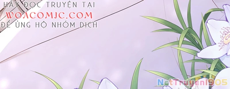 Hệ Thống Xuyên Nhanh: Ác Nam Không Dễ Chọc Chapter 156 - 25