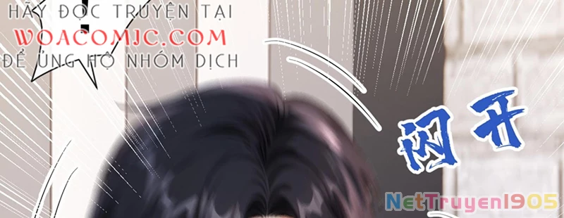 Hệ Thống Xuyên Nhanh: Ác Nam Không Dễ Chọc Chapter 156 - 53
