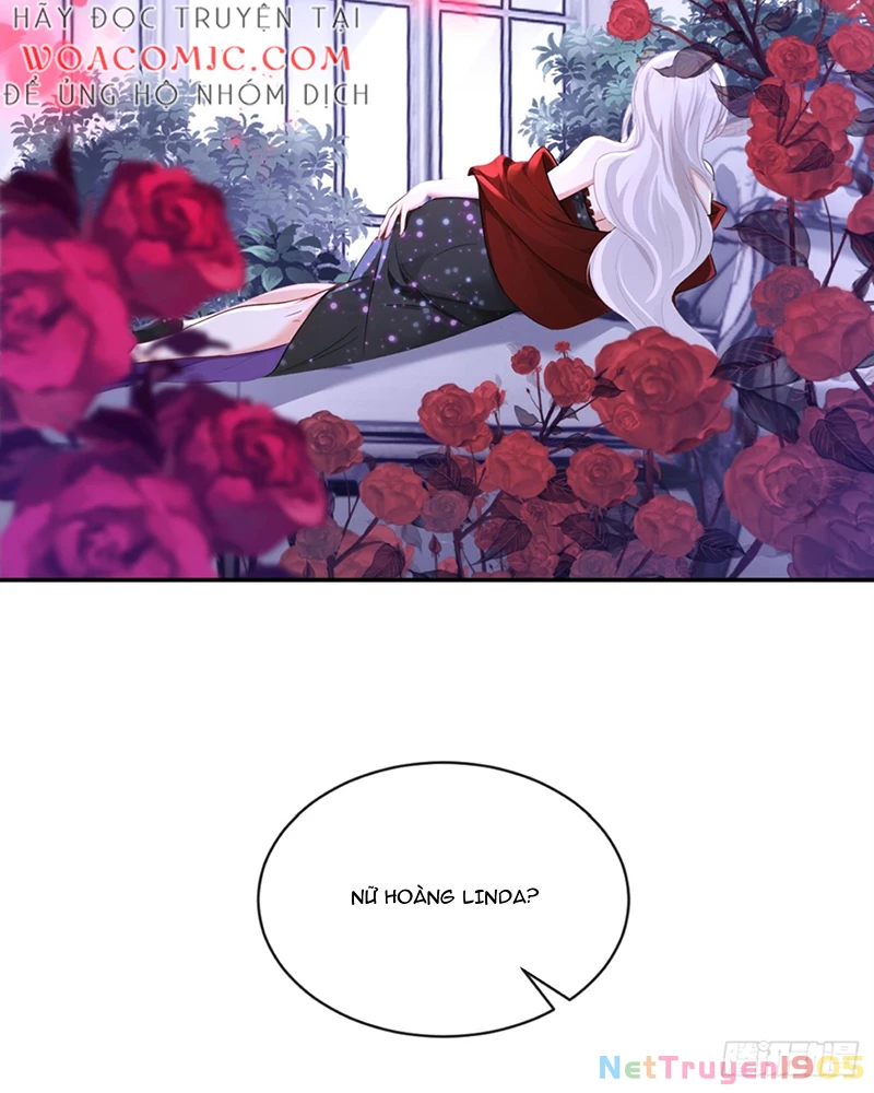 Hệ Thống Xuyên Nhanh: Ác Nam Không Dễ Chọc Chapter 157 - 14