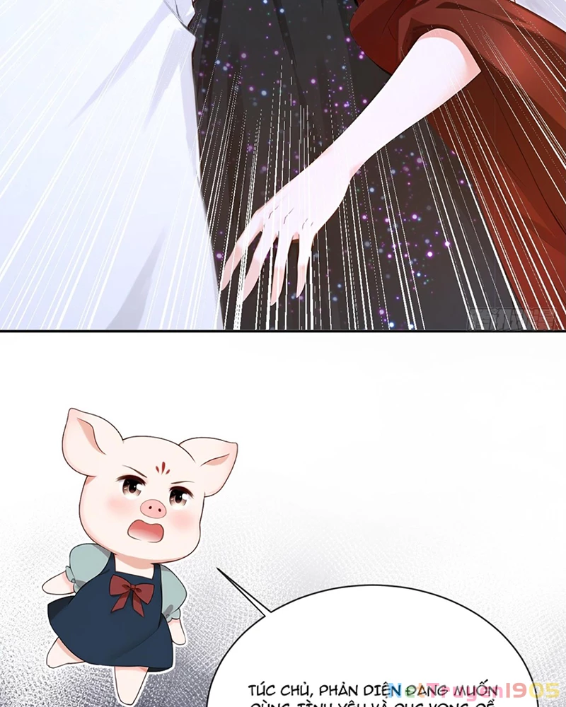 Hệ Thống Xuyên Nhanh: Ác Nam Không Dễ Chọc Chapter 161 - 41