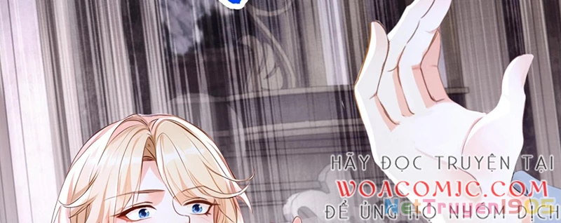 Hệ Thống Xuyên Nhanh: Ác Nam Không Dễ Chọc Chapter 162 - 42