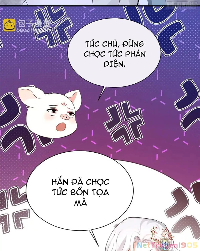 Hệ Thống Xuyên Nhanh: Ác Nam Không Dễ Chọc Chapter 164 - 14