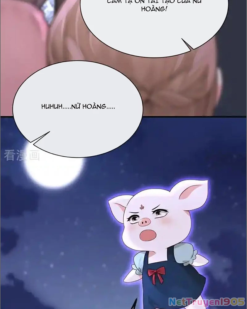 Hệ Thống Xuyên Nhanh: Ác Nam Không Dễ Chọc Chapter 172 - 13