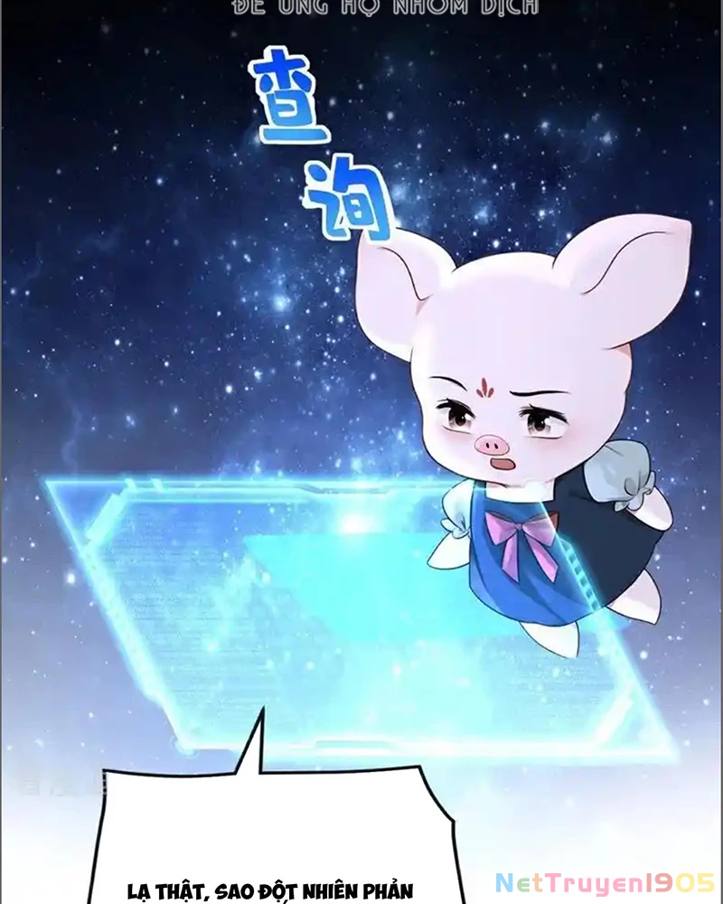 Hệ Thống Xuyên Nhanh: Ác Nam Không Dễ Chọc Chapter 172 - 23