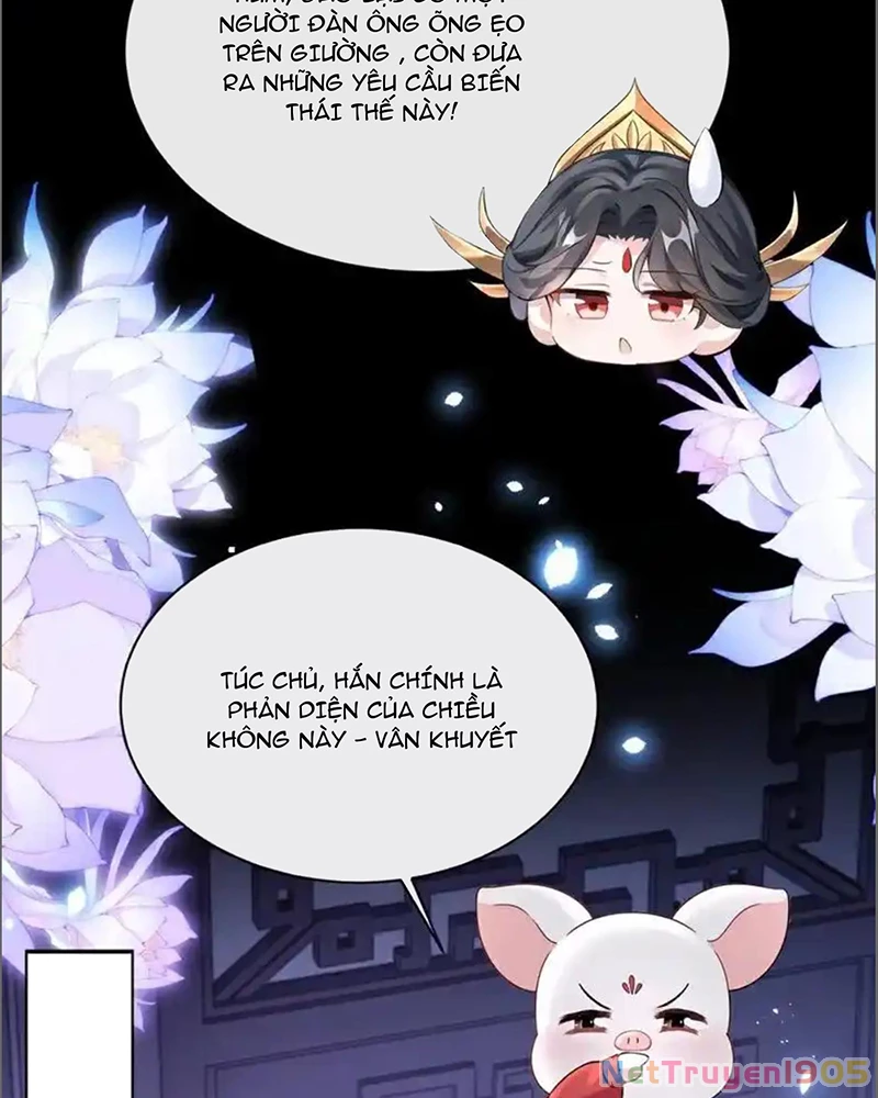 Hệ Thống Xuyên Nhanh: Ác Nam Không Dễ Chọc Chapter 174 - 41