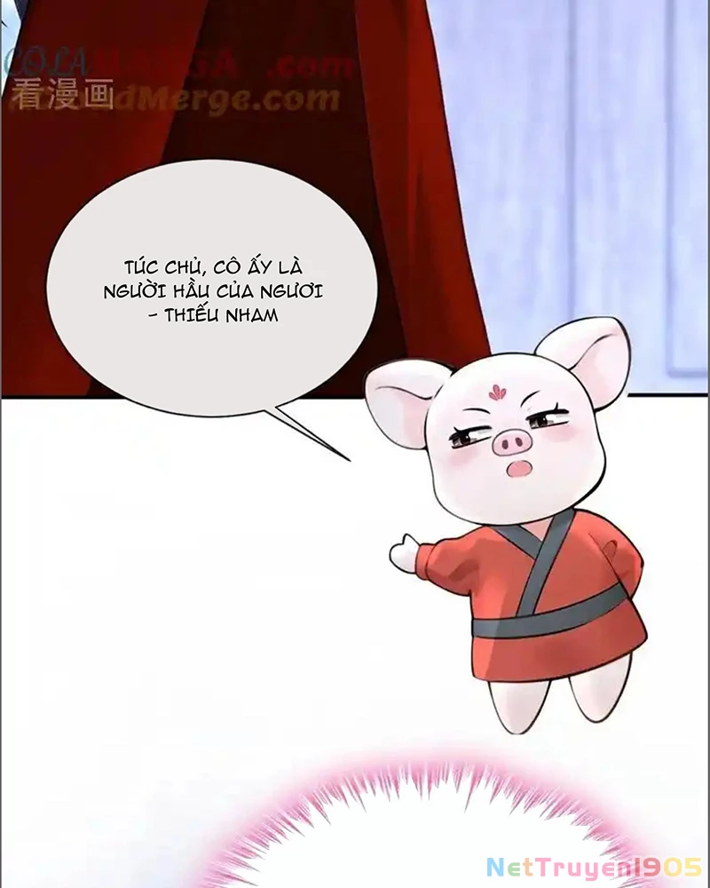 Hệ Thống Xuyên Nhanh: Ác Nam Không Dễ Chọc Chapter 174 - 80