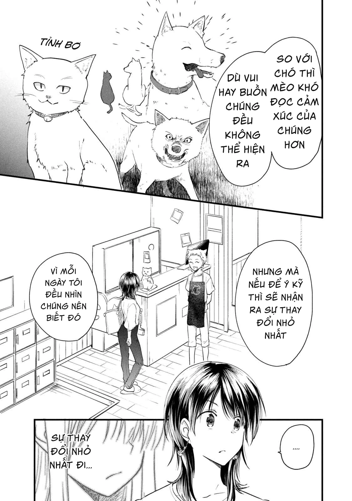 Bé Mèo Đang Chờ Tôi Ở Nhà Chapter 8 - 17
